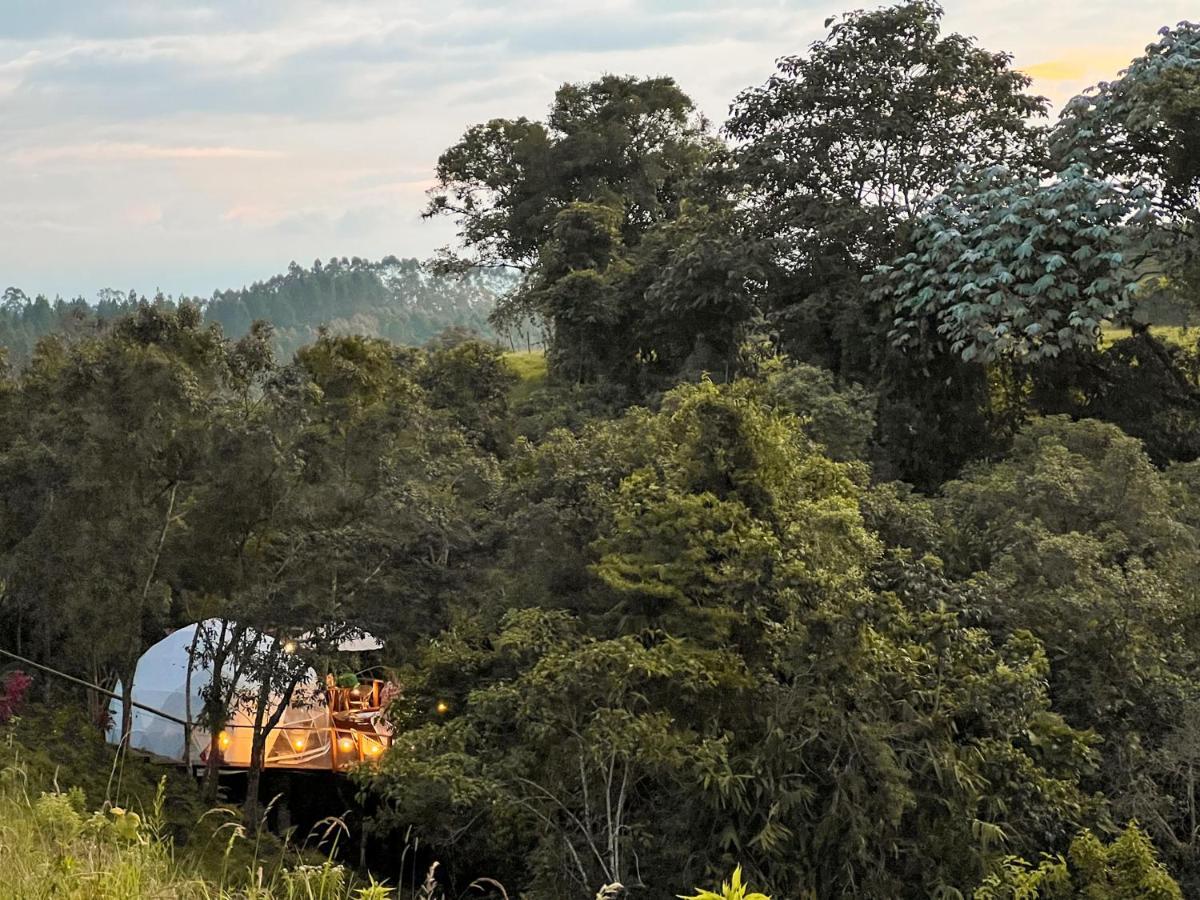 Solana Glamping Ξενοδοχείο Pereira Εξωτερικό φωτογραφία